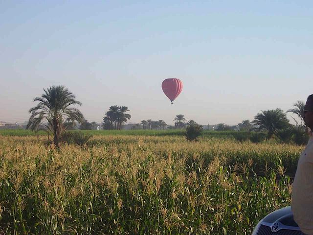 100_1358.JPG