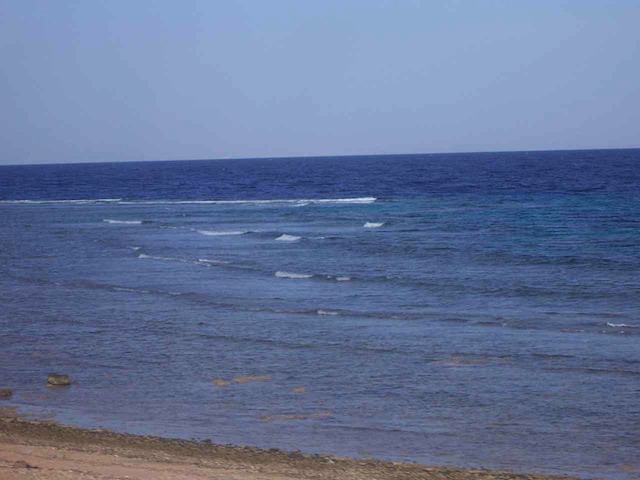 100_1440.JPG