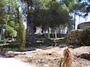100_2266.JPG