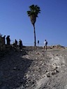 100_2417.JPG