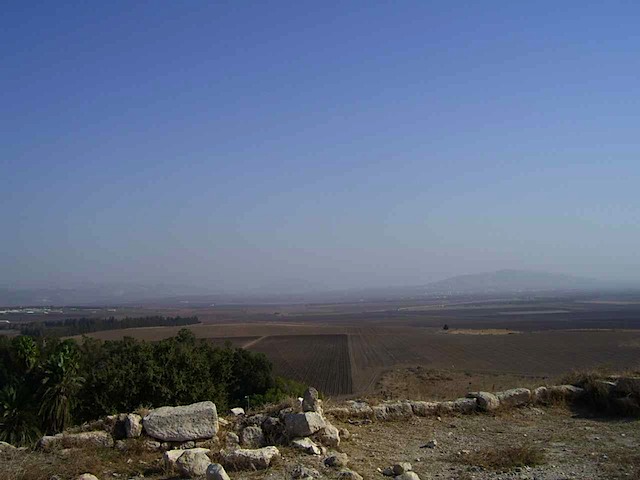 100_2422.JPG