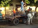 DSC00294.JPG