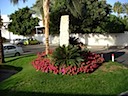 DSC00358.JPG