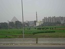 DSC00513.JPG