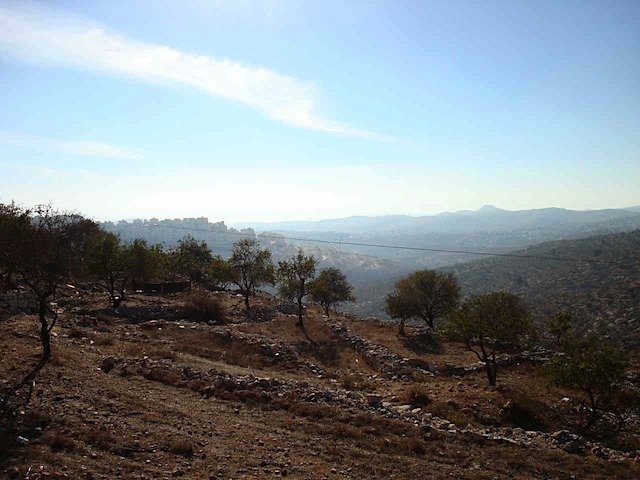 DSC00585.JPG