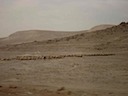 DSC00800.JPG