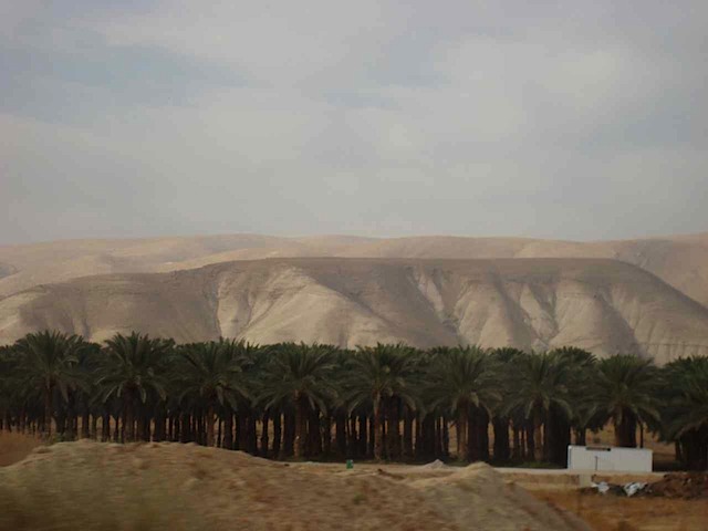 DSC00804.JPG
