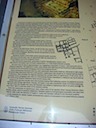 DSC00894.JPG