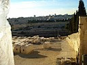 DSC00905.JPG