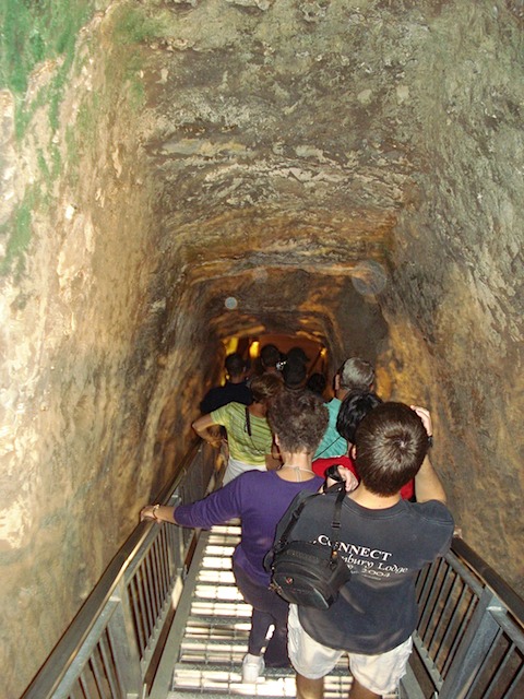 DSC01247.JPG