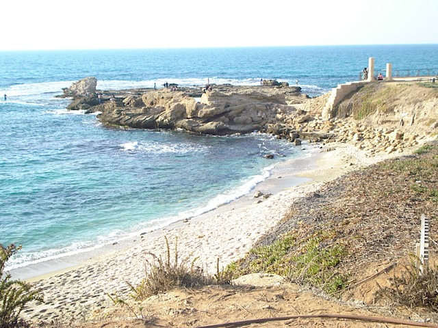 DSC01312.JPG