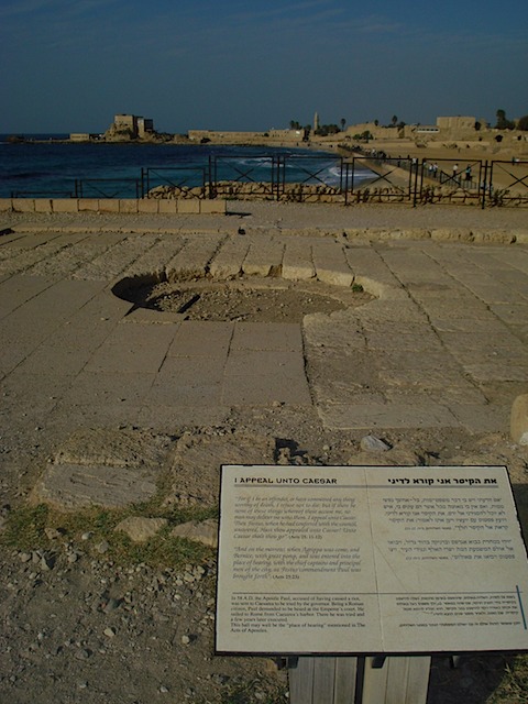DSC01319.JPG