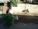 DSC01678.JPG