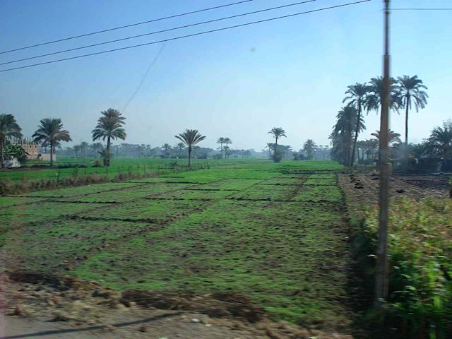 DSC01696.JPG