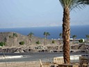 DSC01988.JPG