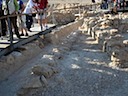 DSC02079.JPG