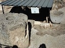 DSC02157.JPG