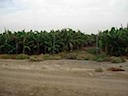 DSC02447.JPG
