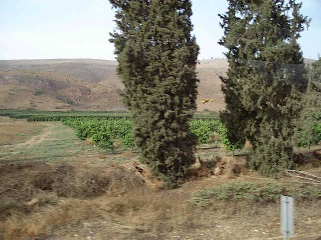 DSC02460.JPG