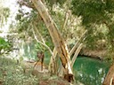 DSC02467.JPG
