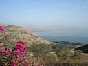 DSC02554.JPG