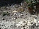 DSC02579.JPG