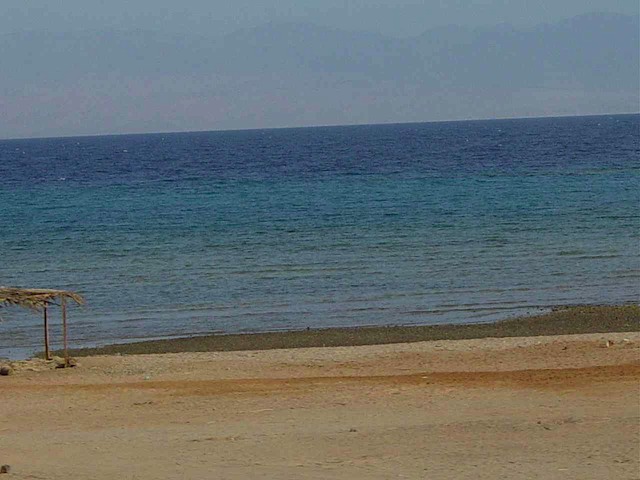 DSC04366.JPG