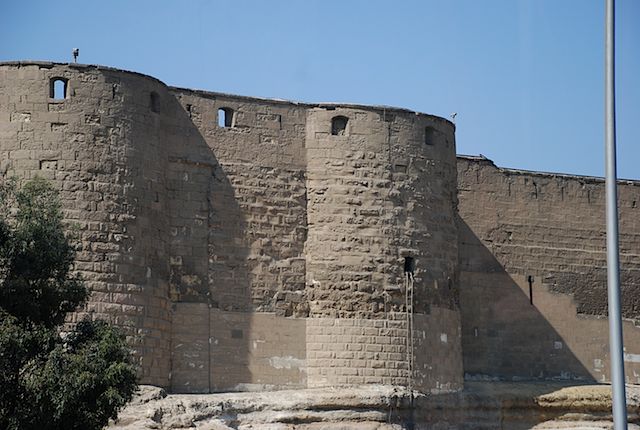 DSC_4501
