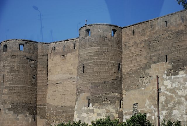 DSC_4511