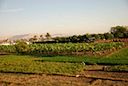 DSC_4980.JPG