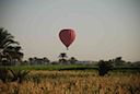DSC_5003.JPG