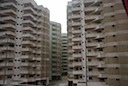 DSC_5198.JPG