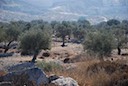 DSC_5771.JPG