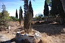 DSC_5868.JPG