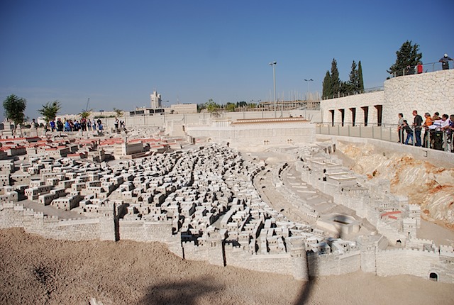 DSC_6319