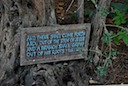 DSC_6405.JPG