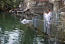 DSC_6600.JPG