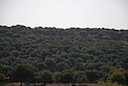 DSC_6957