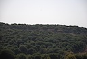 DSC_6958