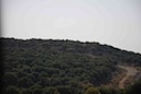 DSC_6959.JPG