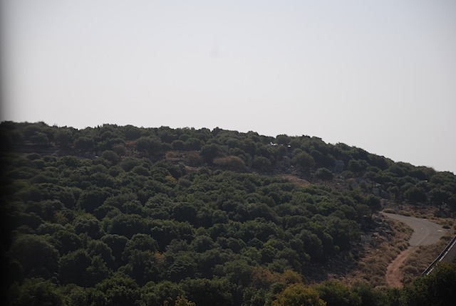 DSC_6959