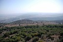 DSC_6972.JPG
