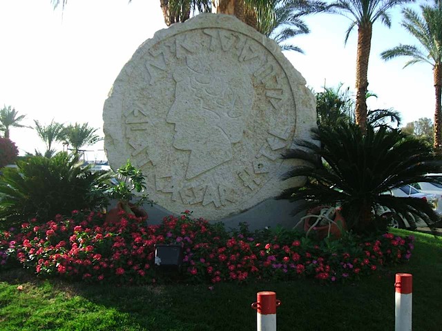 DSCF0439.JPG