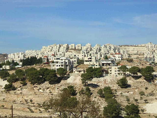 DSCF0492.JPG