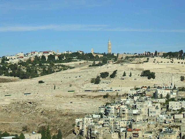 DSCF0502.JPG