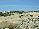 DSCF0502.JPG