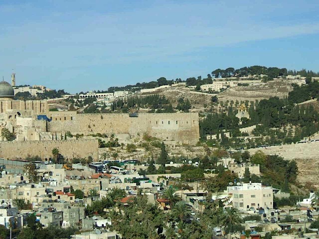 DSCF0504.JPG
