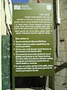 DSCF0594.JPG