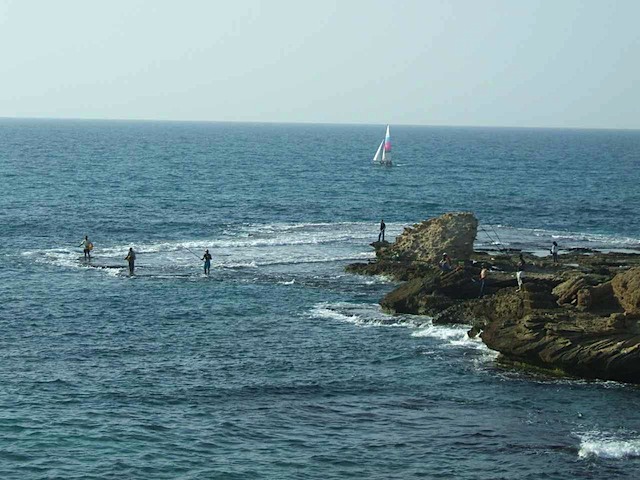 DSCF0706.JPG