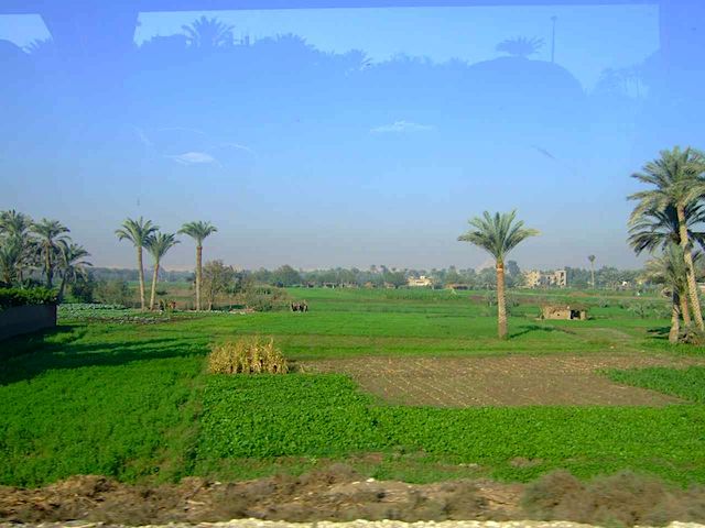 DSCF1117